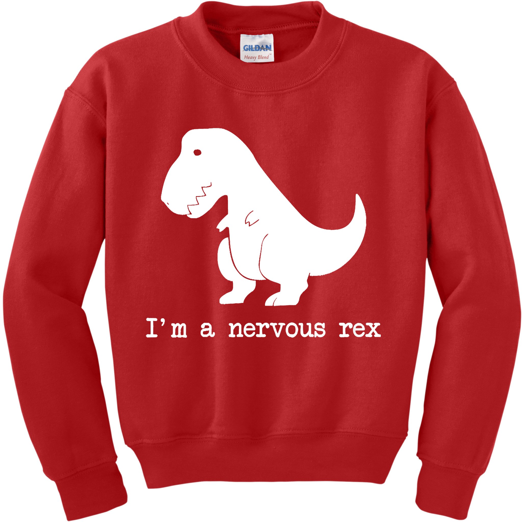 Funny Mental Health Awareness Trex Dinosaur With Anxiety Kids Sweatshirt