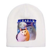Funny Meme Huh Cat Short Acrylic Beanie