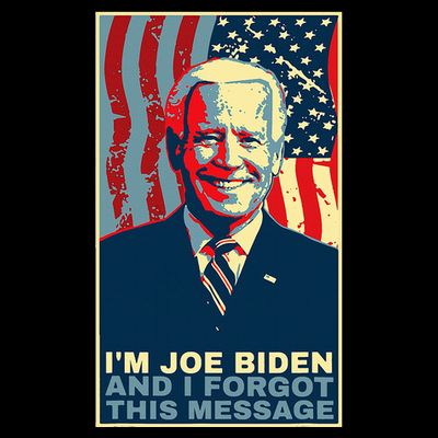 Funny Meme I Am Joe Biden And I Forgot This Message Gift T-Shirt
