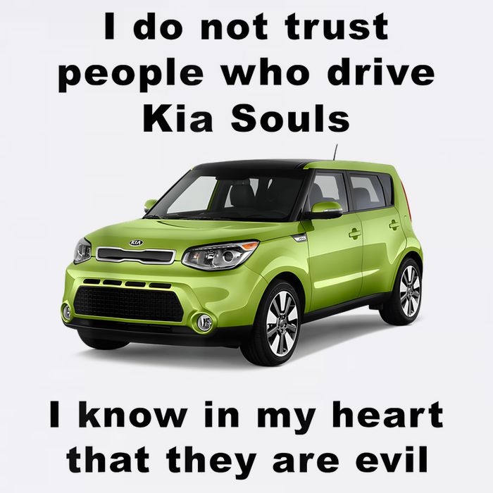 Funny Meme I Do Not Trust People Who Drive Kia Souls Joke Trucker Hat