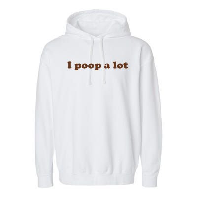 Funny Meme I Poop A Lot Joke Garment-Dyed Fleece Hoodie