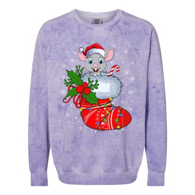 Funny Mouse In Christmas Socks Santa Mouse Xmas Gift Colorblast Crewneck Sweatshirt