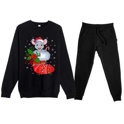 Funny Mouse In Christmas Socks Santa Mouse Xmas Gift Premium Crewneck Sweatsuit Set