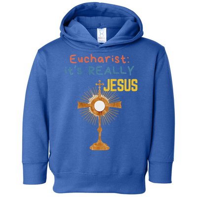 Front My Lord Monstrance Back Eucharist ItS Really Jesus Toddler Hoodie