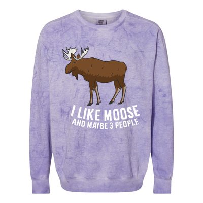 Funny Moose Love I Like Moose And Maybe 3 People Gift Colorblast Crewneck Sweatshirt