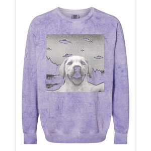 Funny Meme Labrador Selfie With Alien Ufos Funny Dog Lovers Aliens Ufo Colorblast Crewneck Sweatshirt