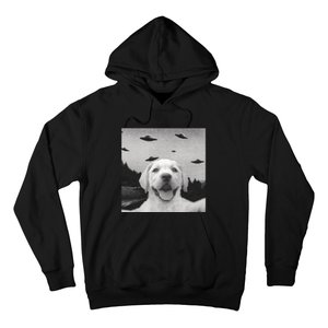 Funny Meme Labrador Selfie With Alien Ufos Funny Dog Lovers Aliens Ufo Hoodie