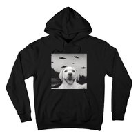 Funny Meme Labrador Selfie With Alien Ufos Funny Dog Lovers Aliens Ufo Hoodie