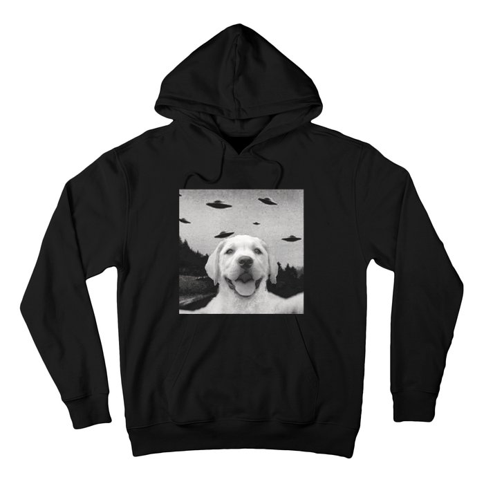 Funny Meme Labrador Selfie With Alien Ufos Funny Dog Lovers Aliens Ufo Hoodie