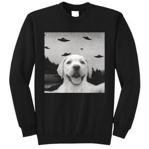 Funny Meme Labrador Selfie With Alien Ufos Funny Dog Lovers Aliens Ufo Sweatshirt