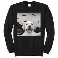 Funny Meme Labrador Selfie With Alien Ufos Funny Dog Lovers Aliens Ufo Tall Sweatshirt