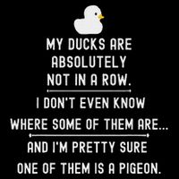 Funny Meme My Ducks Are Absolutely Not In A Row Pigeon Flat Bill Trucker Hat