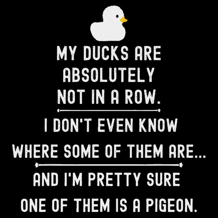 Funny Meme My Ducks Are Absolutely Not In A Row Pigeon Flat Bill Trucker Hat