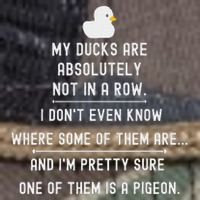 Funny Meme My Ducks Are Absolutely Not In A Row Pigeon Retro Rope Trucker Hat Cap