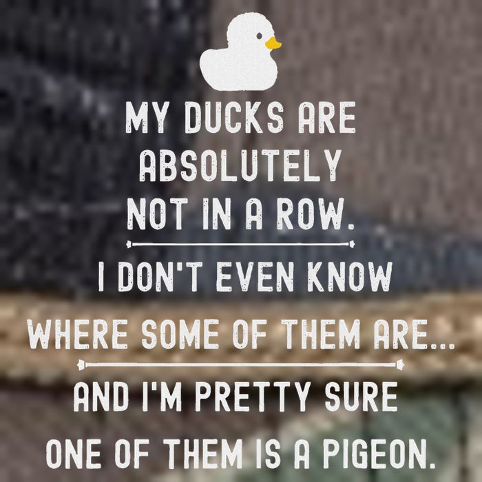 Funny Meme My Ducks Are Absolutely Not In A Row Pigeon Retro Rope Trucker Hat Cap