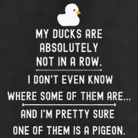 Funny Meme My Ducks Are Absolutely Not In A Row Pigeon Beanie