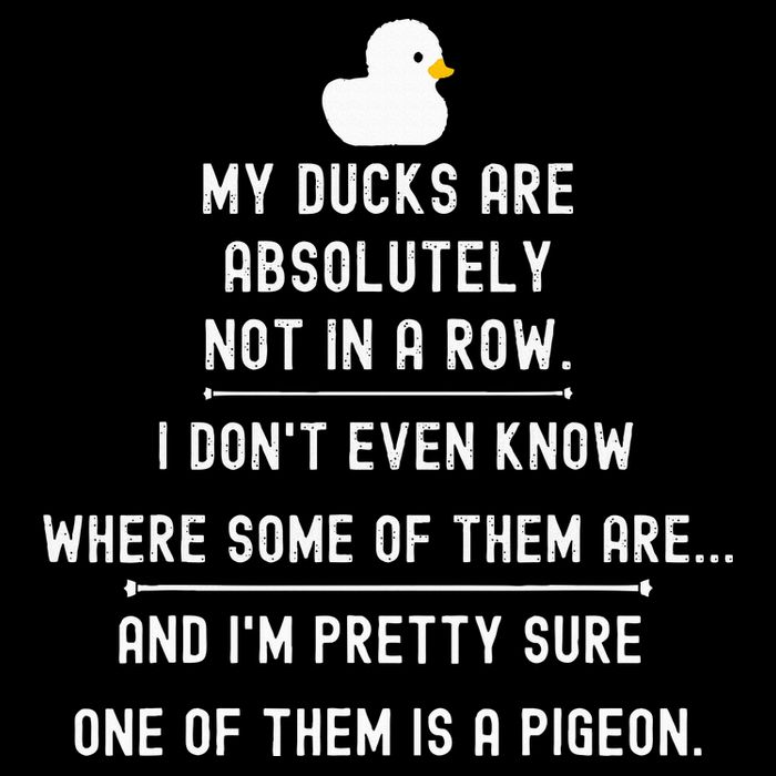 Funny Meme My Ducks Are Absolutely Not In A Row Pigeon 16 in Basic Backpack