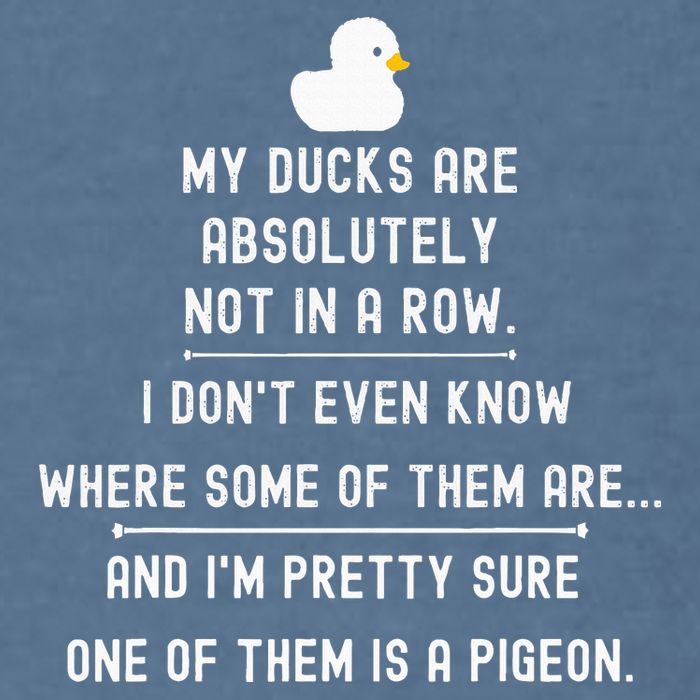 Funny Meme My Ducks Are Absolutely Not In A Row Pigeon Garment-Dyed Sweatshirt