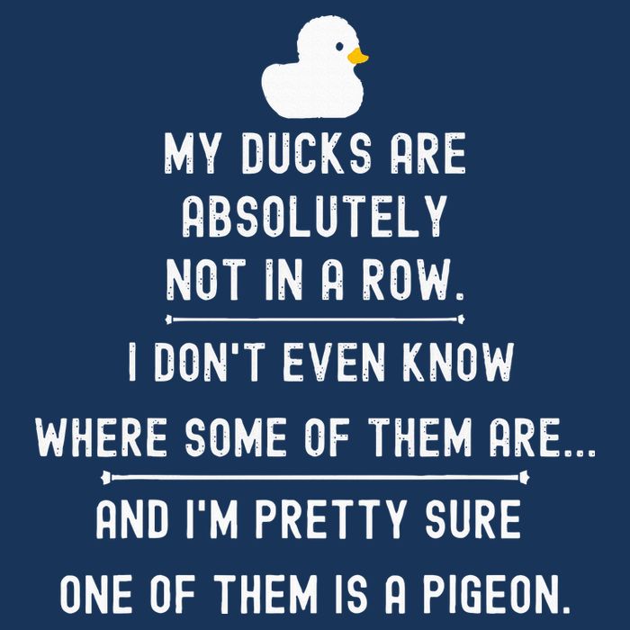 Funny Meme My Ducks Are Absolutely Not In A Row Pigeon Infant Baby Jersey Bodysuit