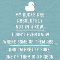 Funny Meme My Ducks Are Absolutely Not In A Row Pigeon Sueded Cloud Jersey T-Shirt