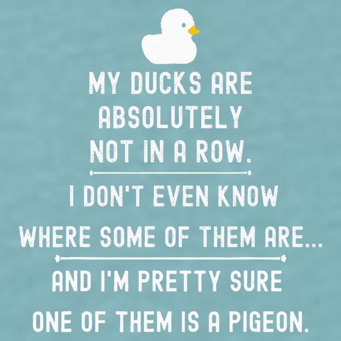 Funny Meme My Ducks Are Absolutely Not In A Row Pigeon Sueded Cloud Jersey T-Shirt