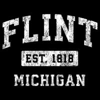 Flint Michigan Mi Vintage Established Sports T-Shirt