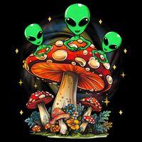Funny Magic Mushroom Alien Trippy Shroom Lsdweed Acid Trip Womens T-Shirt