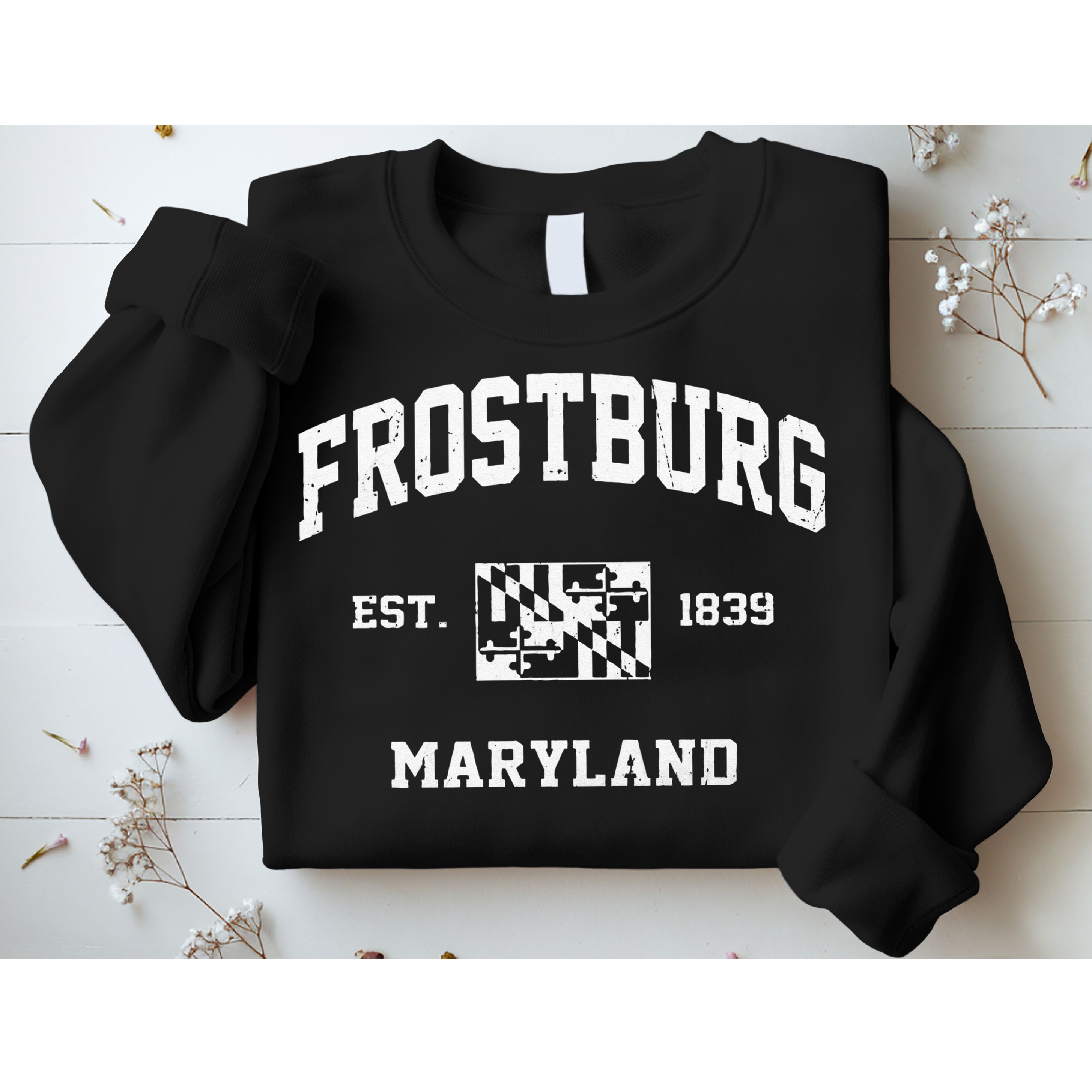 Frostburg Maryland MD Vintage State Athletic Style Sweatshirt