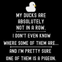 Funny Meme My Ducks Are Absolutely Not In A Row Pigeon T-Shirt