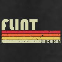 Flint Mi Michigan Funny City Home Roots Gift Retro 70s 80s 11oz C Handle Ceramic Mug