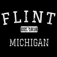 Flint Michigan Mi Vintage Bag
