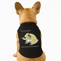 Frog Me No Problemo Narrator But It Was All Problemo Doggie Tank