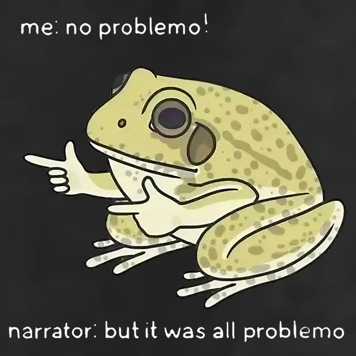 Frog Me No Problemo Narrator But It Was All Problemo Beanie