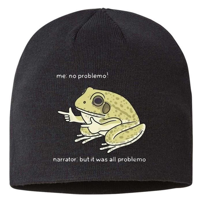 Frog Me No Problemo Narrator But It Was All Problemo Sustainable Beanie