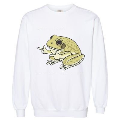 Frog Me No Problemo Narrator But It Was All Problemo Garment-Dyed Sweatshirt