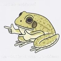 Frog Me No Problemo Narrator But It Was All Problemo Garment-Dyed Sweatshirt