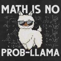 Funny Math Nerd Geek Llama Animal Alpaca Mathematician Math Trucker Hat