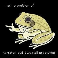 Frog Me No Problemo Narrator But It Was All Problemo Flat Bill Trucker Hat