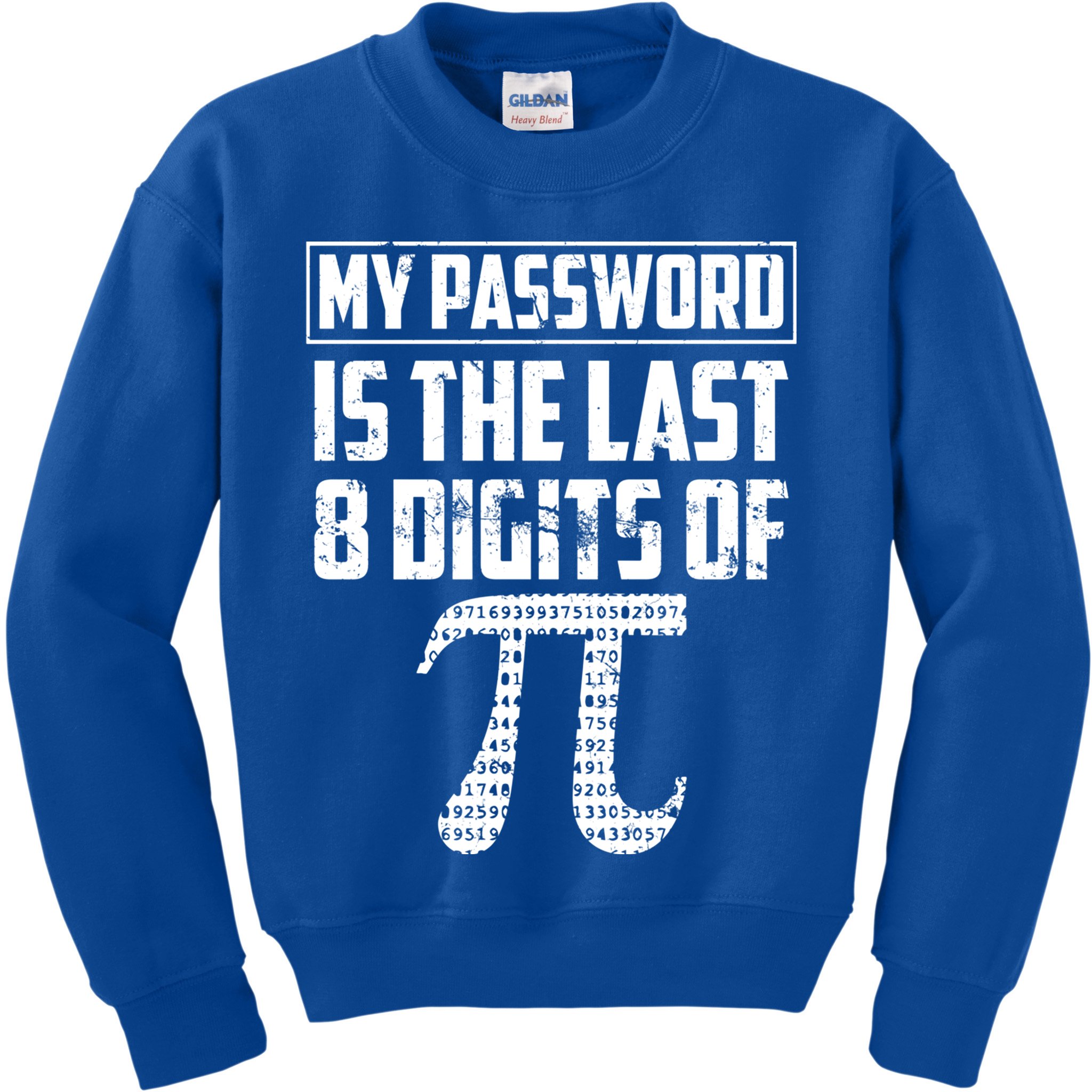 Funny My Password Is The Last 8 Digits Of Pi Gift Great Gift Kids Sweatshirt