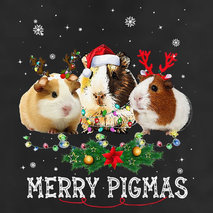 Funny Merry Pigmas Guinea Pig Antlers Lights Merry Christmas 11oz C Handle Ceramic Mug