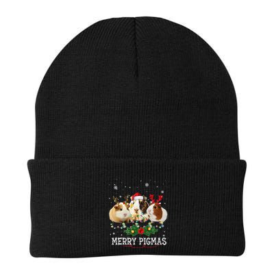 Funny Merry Pigmas Guinea Pig Antlers Lights Merry Christmas Beanie