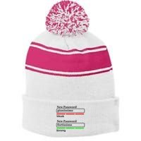 Funny Musician Password Classical Music Theory Class Jokes Stripe Pom Pom Beanie