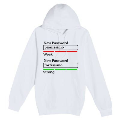 Funny Musician Password Classical Music Theory Class Jokes Premium Pullover Hoodie