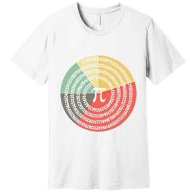 Funny Math Pie Chart Cake March 14 Design Happy Retro Pi Day Meaningful Gift Premium T-Shirt
