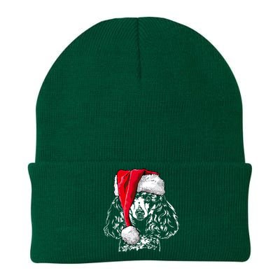 Funny Miniature Poodle Santa Christmas Dog Mom Gift Present Gift Knit Cap Winter Beanie