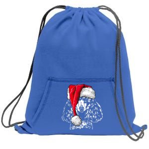 Funny Miniature Poodle Santa Christmas Dog Mom Gift Present Gift Sweatshirt Cinch Pack Bag