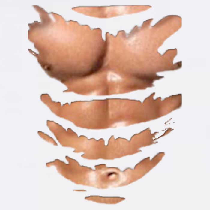 Fake Muscles Ripped Torn Chest Six Pack Abs Fitness Model Doggie Tank