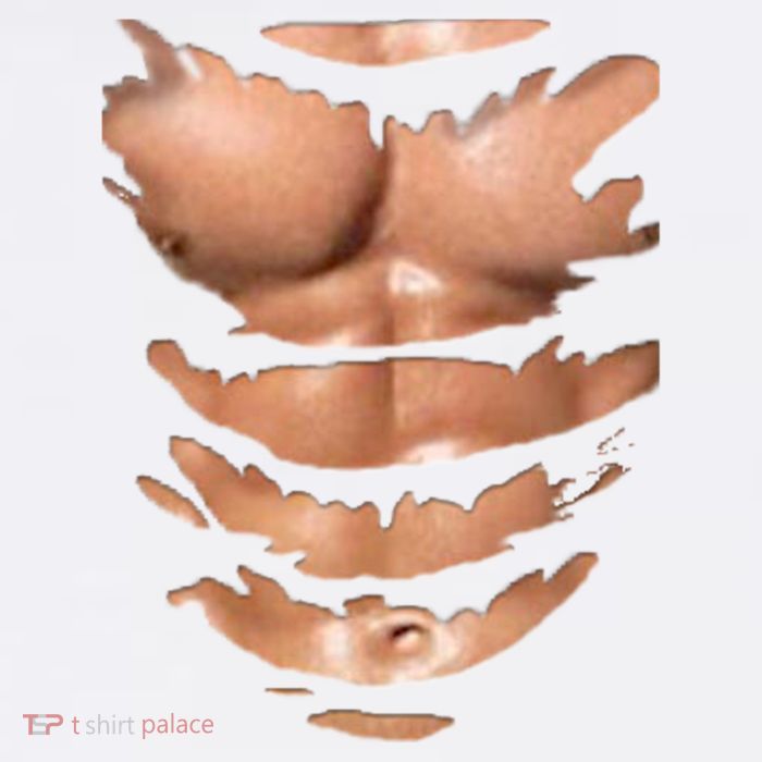 Fake Muscles Ripped Torn Chest Six Pack Abs Fitness Model T-Shirt