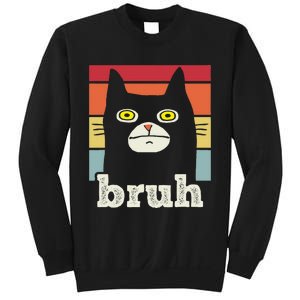 Funny Meme Saying Bruh With Cat Greetings Sweatshirt