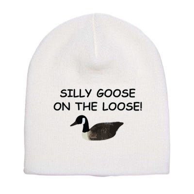 Funny Meme Silly Goose On The Loose Joke Short Acrylic Beanie
